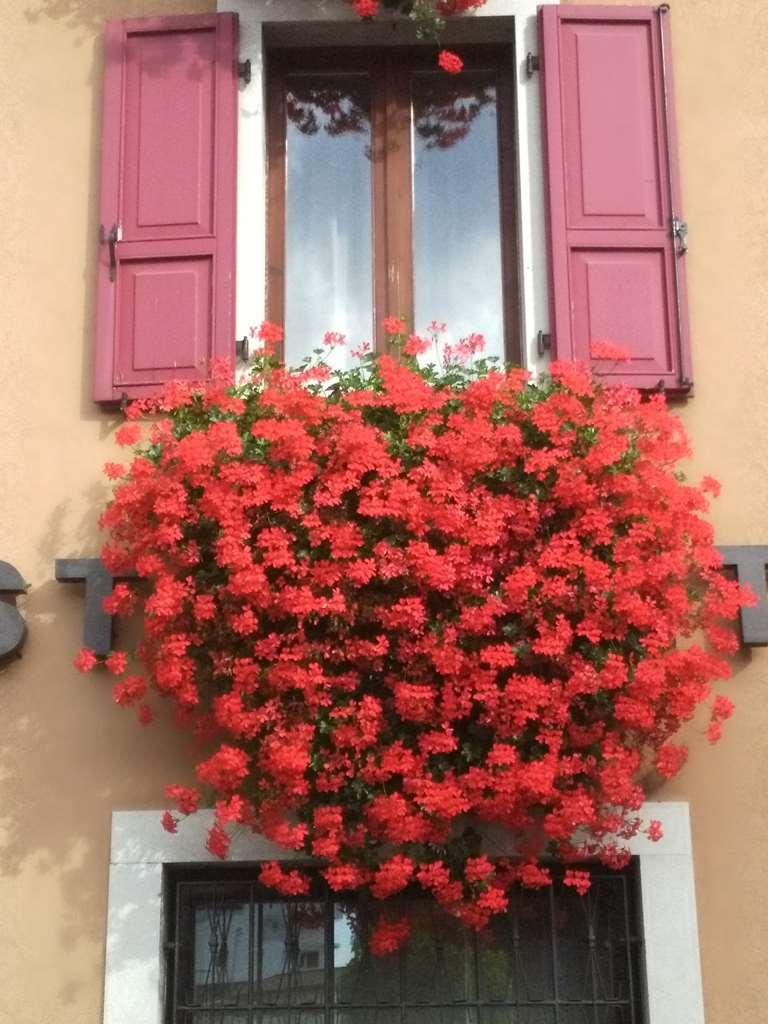 Hotel San Giorgio Údine Exterior foto